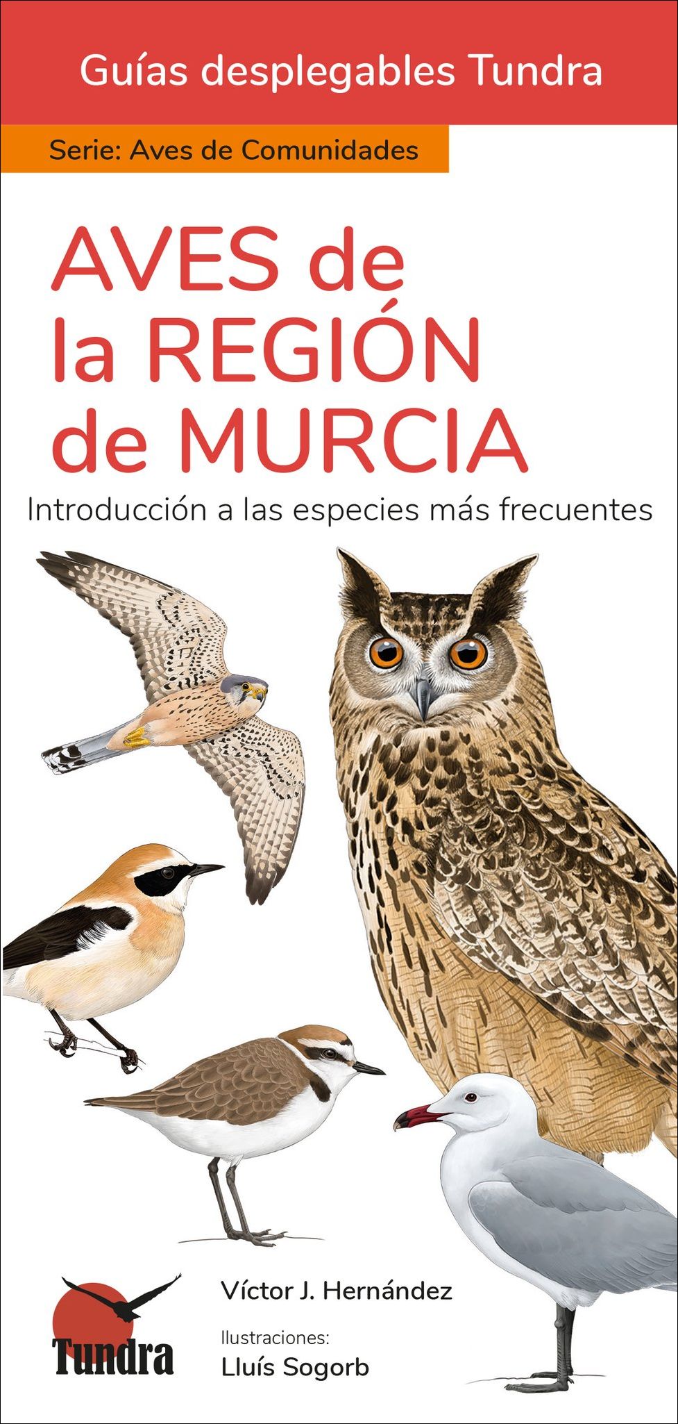 AVES DE LA REGIÓN DE MURCIA. INTRODUCCIÓN A LAS ESPECIES MÁS FRECUENTES. GUÍAS DESPLEGABLES TUNDRA 1