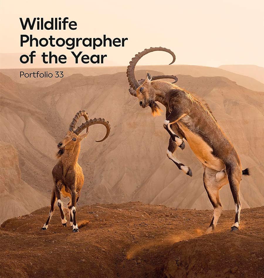 WILDLIFE PHOTOGRAPHER OF THE YEAR. PORTFOLIO 33 1