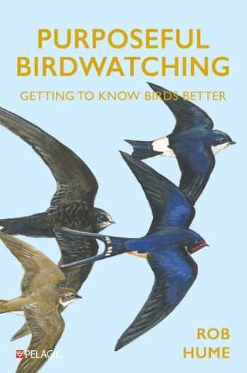 PURPOSEFUL BIRDWATCHING. GETTING TO KNOW BIRDS BETTER 1