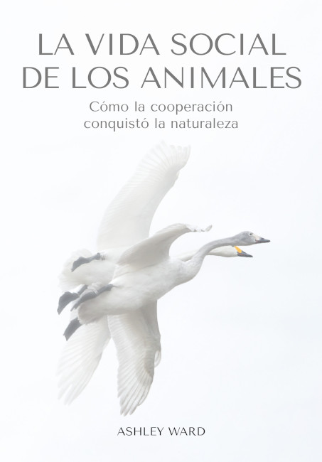LA VIDA SOCIAL DE LOS ANIMALES 1