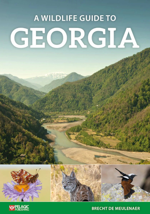 A WILDLIFE GUIDE TO GEORGIA 1
