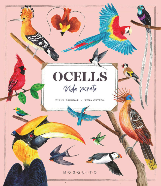 OCELLS. VIDA SECRETA 1
