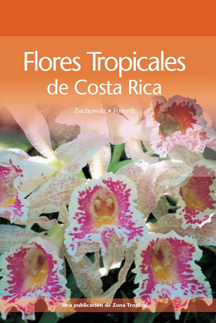 FLORES TROPICALES DE COSTA RICA 1