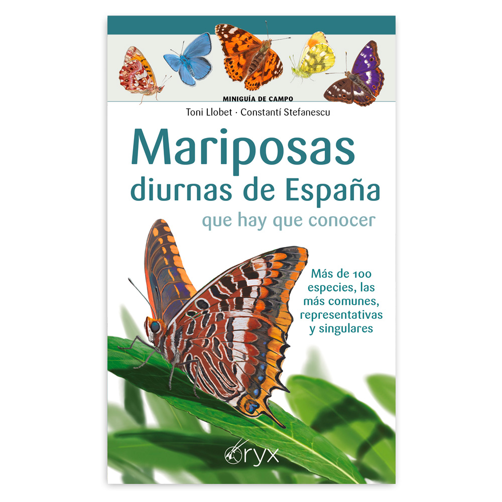 MARIPOSAS DIURNAS DE ESPAÑA QUE HAY QUE CONOCER. MINIGUÍA DE CAMPO 1