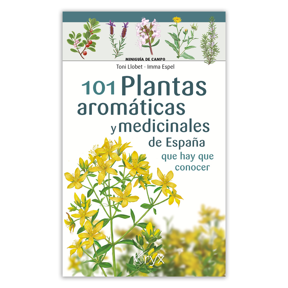 101 PLANTAS AROMÁTICAS Y MEDICINALES DE ESPAÑA QUE HAY QUE CONOCER. MINIGUÍA DE CAMPO 1