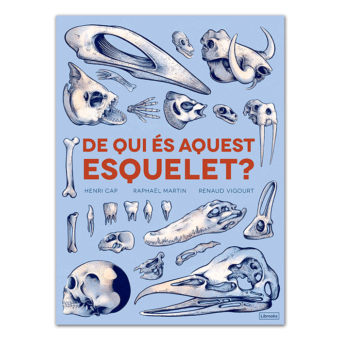 DE QUI ES AQUEST ESQUELET? 1