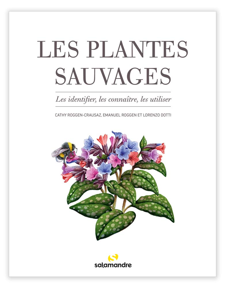 LES PLANTES SAUVAGES. LES IDENTIFIER, LES CONNAÎTRE, LES UTILISER 1