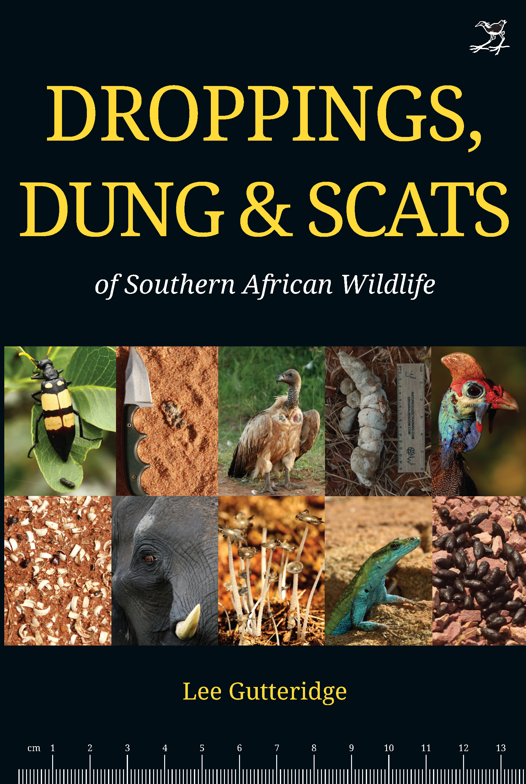 DROPPINGS, DUNG 6 SCATS OF SOUTHERN AFRICAN WILDLIFE 1