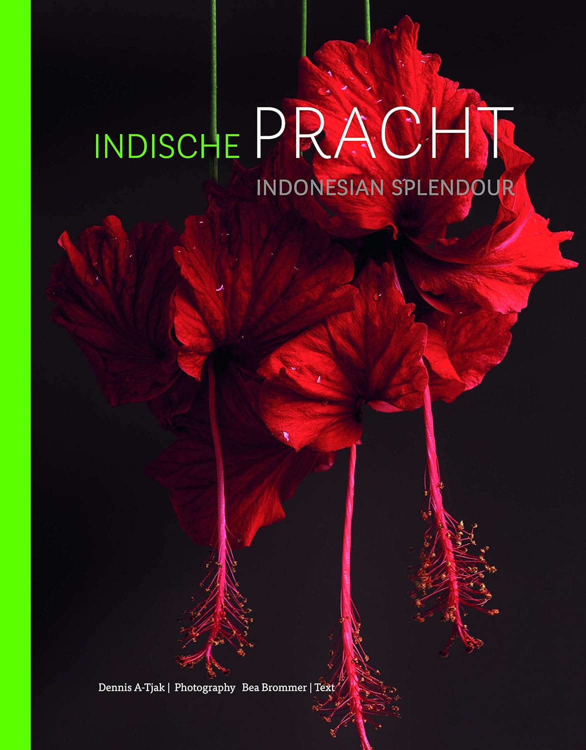 INDONESIAN SPLENDOR. FOUR CENTURIES OF FASCINATION FOR THE FLORA OF INDONESIA 1