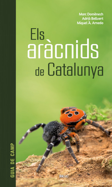 ELS ARÀCNIDS DE CATALUNYA 1