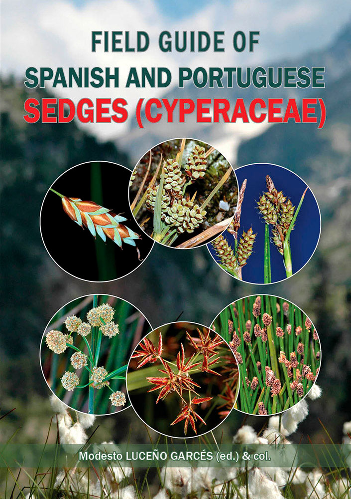 FIELD GUIDE TO SPANISH AND PORTUGUESE SEDGES (CYPERACEAE) 1
