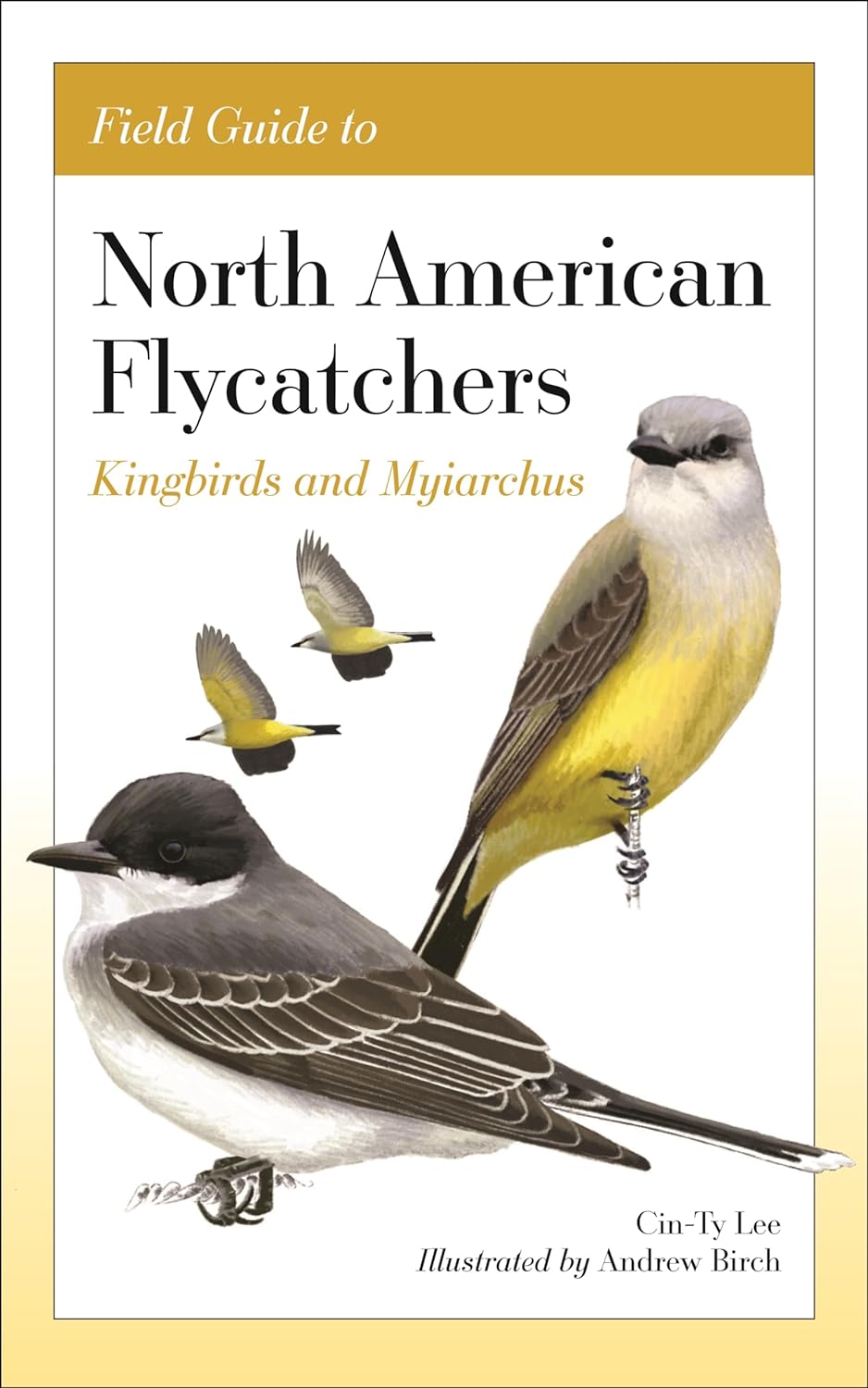 FIELD GUIDE TO NORTH AMERICAN FLYCATCHERS: KINGBIRDS AND MYIARCHUS 1