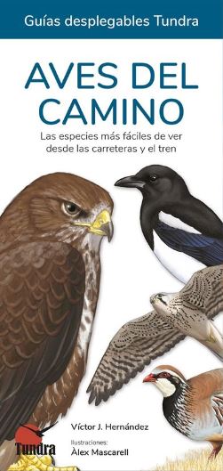 AVES DEL CAMINO. LAS ESPECIES MÁS FÁCILES DE VER DESDE LAS CARRETERAS Y EL TREN. GUÍAS DESPLEGABLES TUNDRA 1