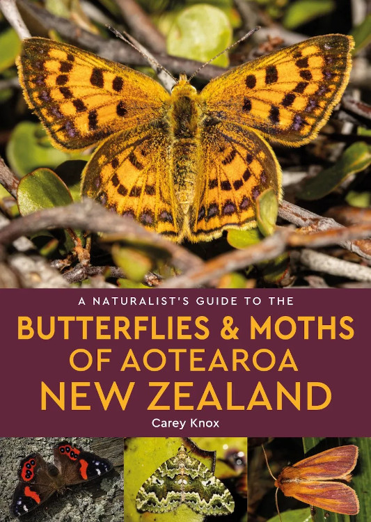 A NATURALIST'S GUIDE TO THE BUTTERFLIES &AMP; MOTHS OF NEW ZEALAND 1