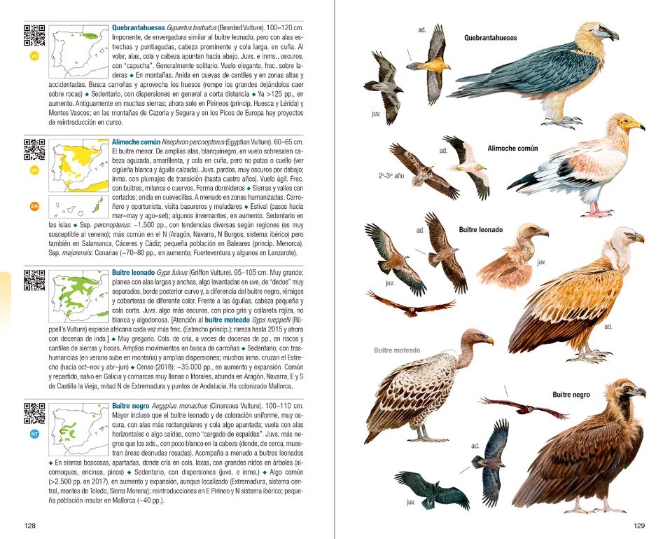 AVES DE ESPAÑA 2