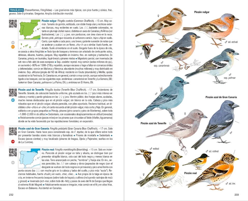 AVES DE ESPAÑA 3
