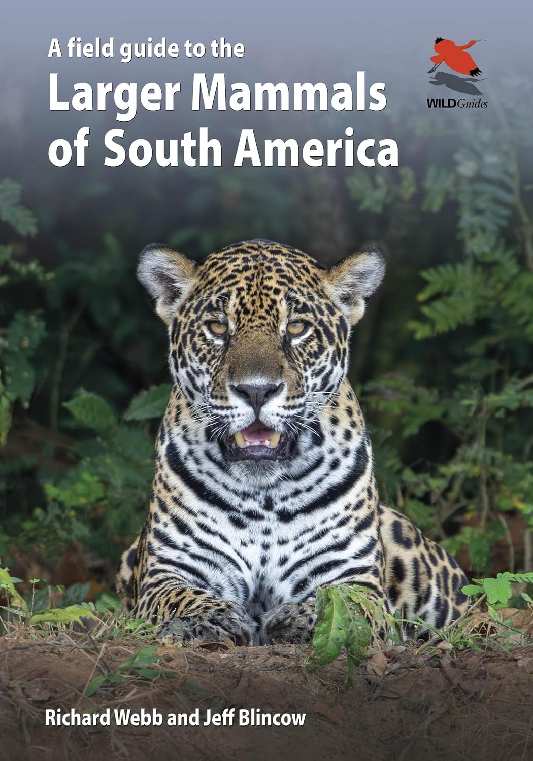 A FIELD GUIDE TO THE LARGER MAMMALS OF SOUTH AMERICA 1