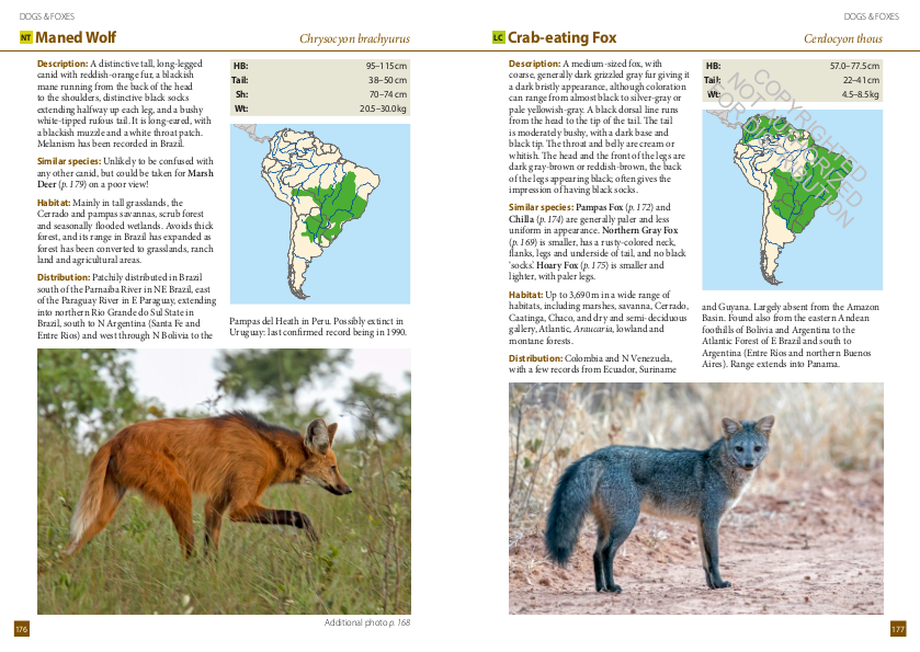 A FIELD GUIDE TO THE LARGER MAMMALS OF SOUTH AMERICA 4