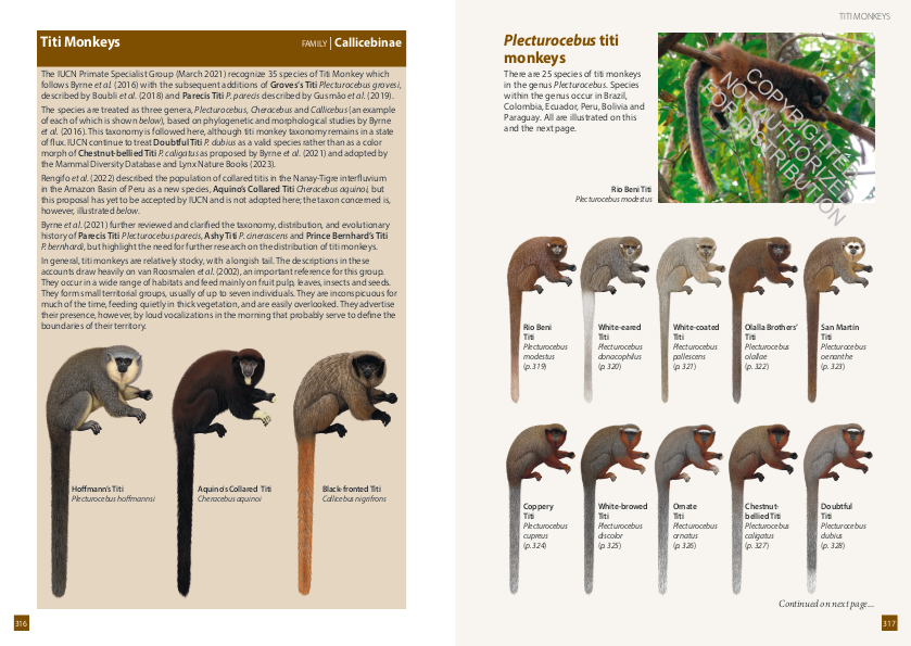 A FIELD GUIDE TO THE LARGER MAMMALS OF SOUTH AMERICA 5