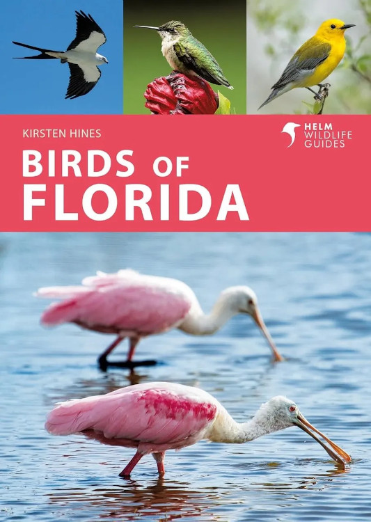 HELM WILDLIFE GUIDES. BIRDS OF FLORIDA 1