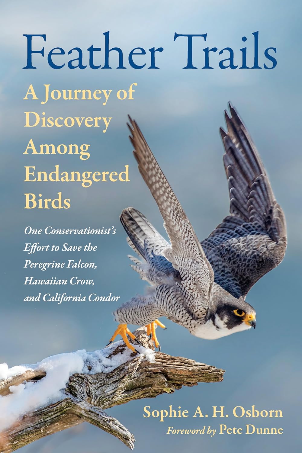 FEATHER TRAILS. A JOURNEY OF DISCOVERY AMONG ENDANGERED BIRDS 1
