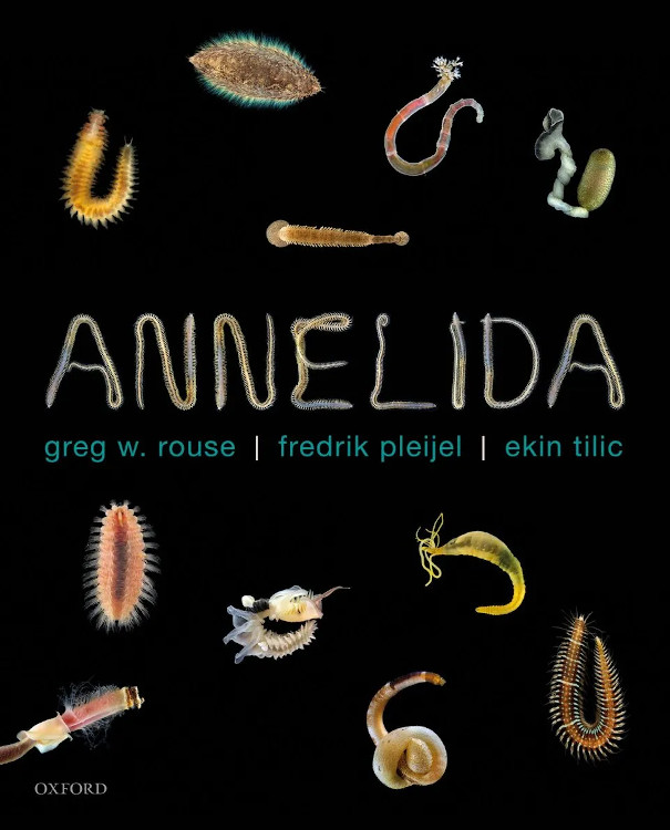ANNELIDA 1
