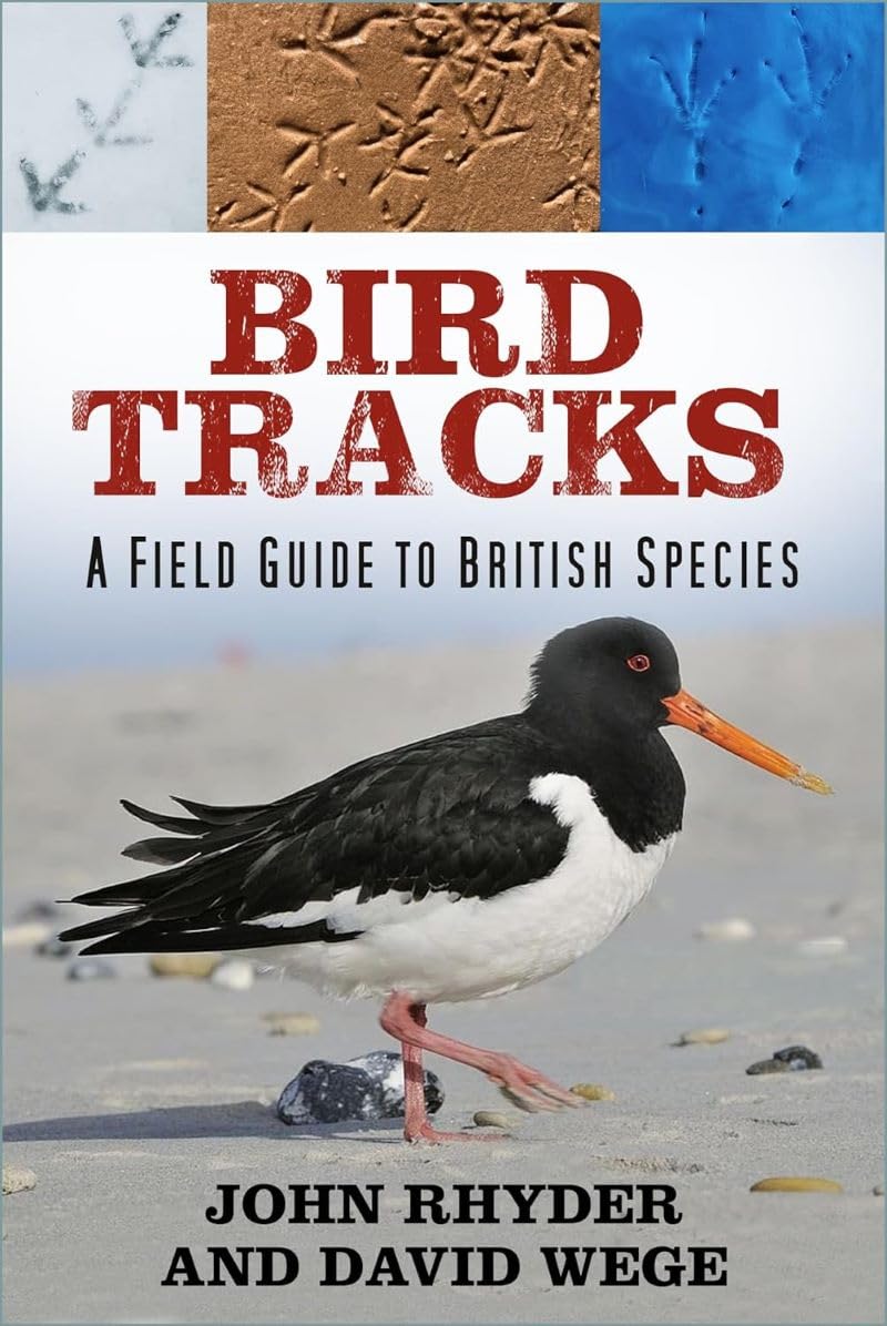 BIRD TRACKS: A FIELD GUIDE TO BRITISH SPECIES 1