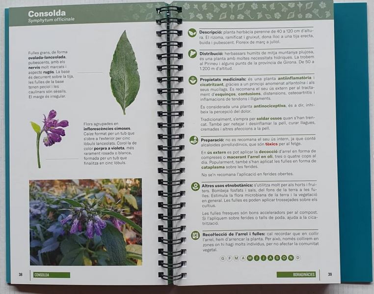 MANUAL ALPINA. PLANTES MEDICINALS 2
