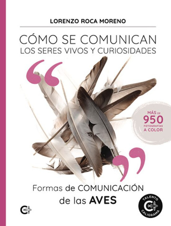 CÓMO SE COMUNICAN LOS SERES VIVOS Y CURIOSIDADES. FORMAS DE COMUNICACIÓN DE LAS AVES 1