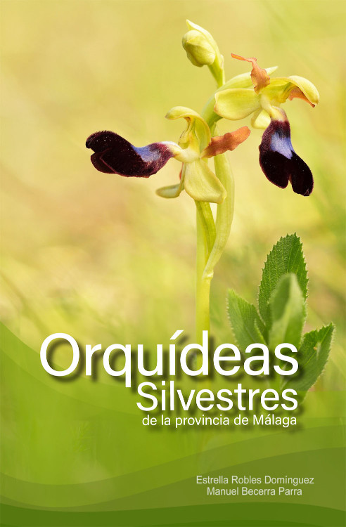 ORQUÍDEAS SILVESTRES DE LA PROVINCIA DE MÁLAGA. GUÍA BÁSICA DE IDENTIFICACIÓN 1