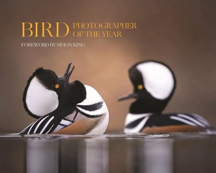 BIRD PHOTOGRAPHER OF THE YEAR, COLLECTION 9 1