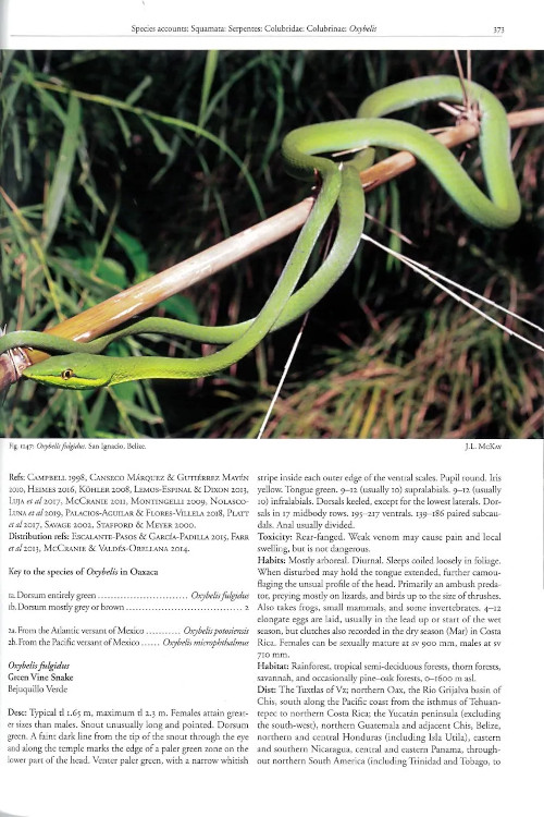 REPTILES OF OAXACA. TURTLES, CROCODILES, LIZARDS AND SNAKES OF MEXICO'S MOST BIODIVERSE STATE 4