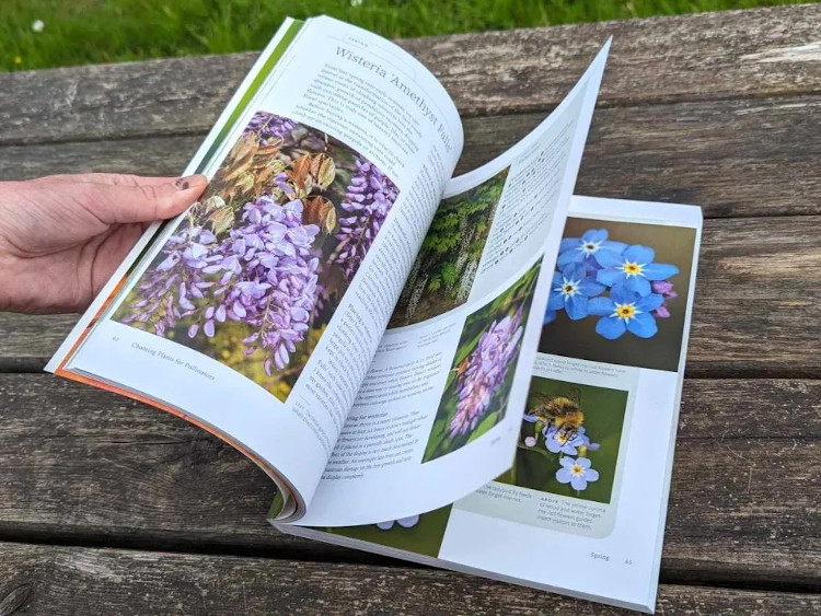 PLANTING FOR POLLINATORS. CREATING A GARDEN HEAVEN 4