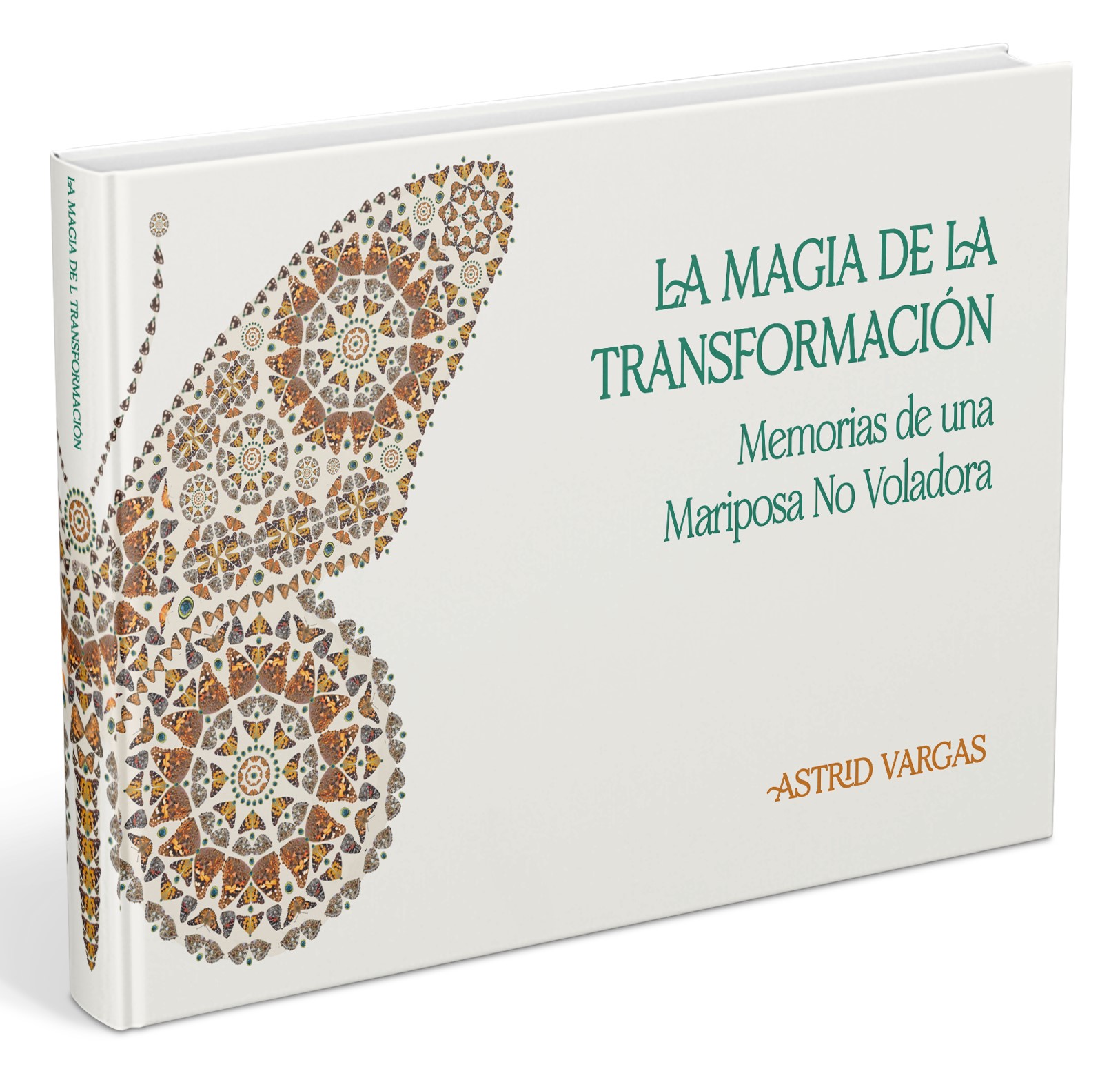 LA MAGIA DE LA TRANSFORMACION 1