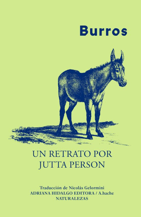 BURROS. UN RETRATO POR JUTTA PERSON 1