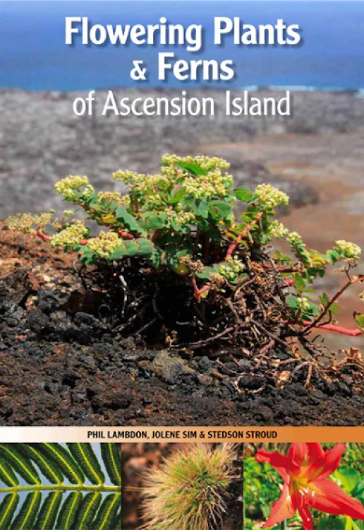 FLOWERING PLANTS &AMP; FERNS OF ASCENSION ISLAND 1