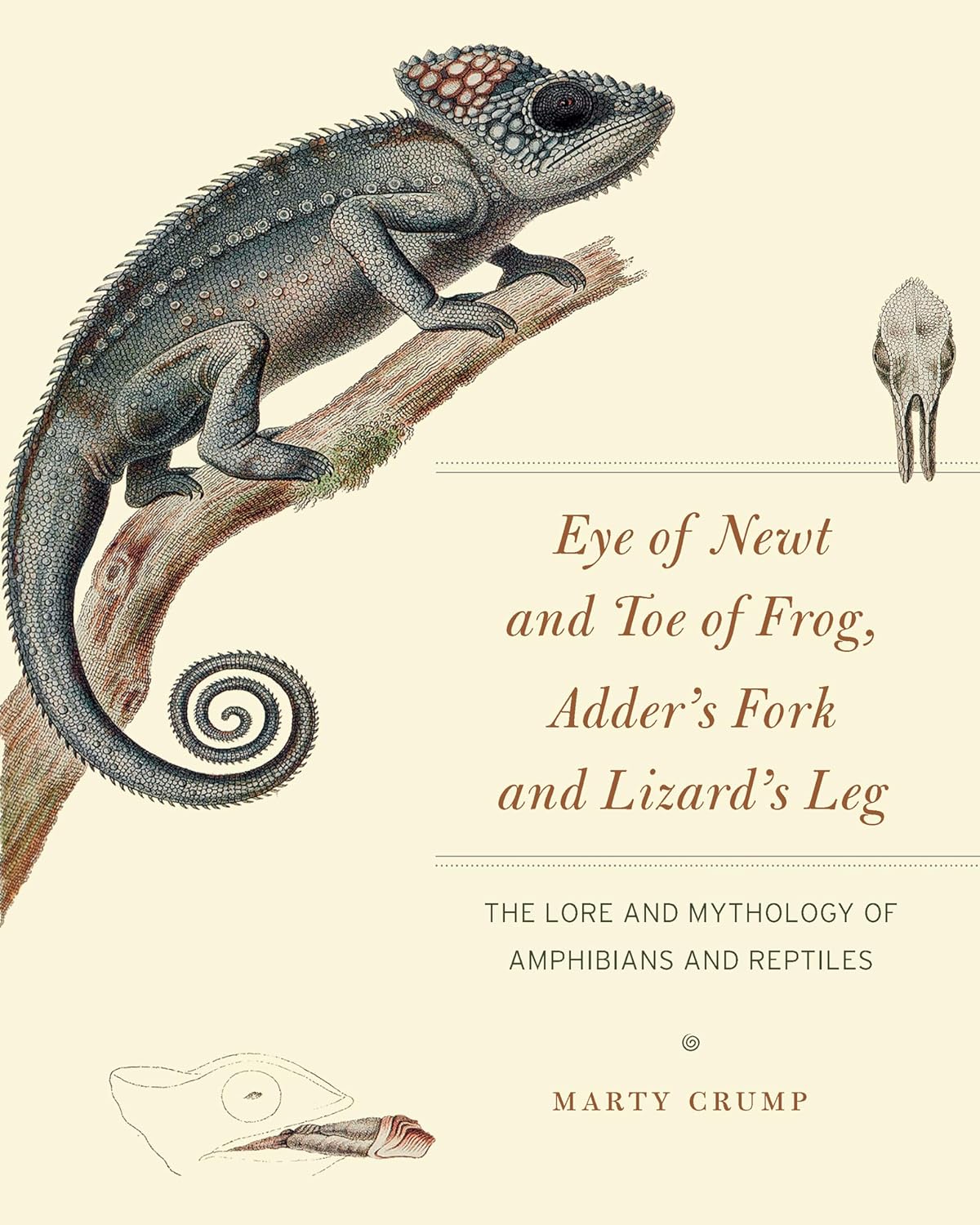 EYE OF NEWT AND TOE OF FROG. ADDER'S FORK AND LIZARD'S LEG. THE LORE AND MYTHOLOGY OF AMOHIBIANS AND REPTILES 1