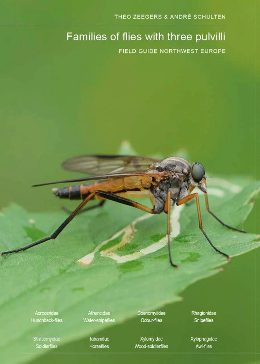 FIELD GUIDE TO FLIES WITH THREE PULVILLI. FAMILIES OF HOMEODACTYLA OF NORTHWEST EUROPE 1