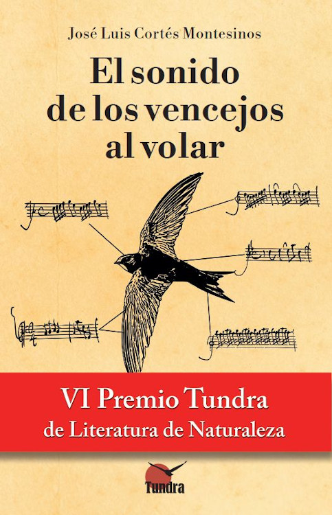 EL SONIDO DE LOS VENCEJOS AL VOLAR 1
