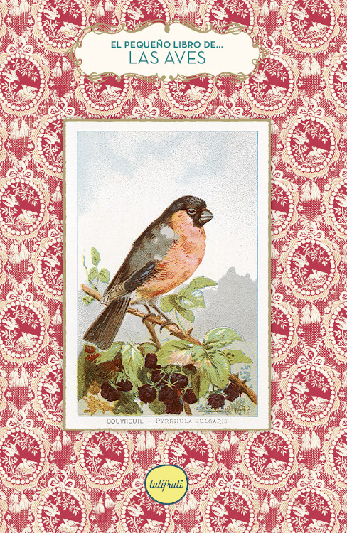 EL PEQUEÑO LIBRO DE LAS AVES 1