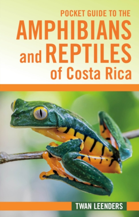 POCKET GUIDE TO THE AMPHIBIANS AND REPTILES OF COSTA RICA 1