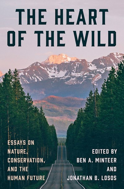 THE HEART OF THE WILD: ESSAYS ON NATURE, CONSERVATION, AND THE HUMAN FUTURE 1