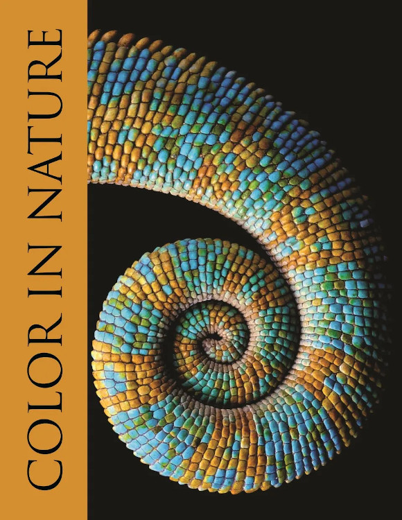 COLOR IN NATURE 1