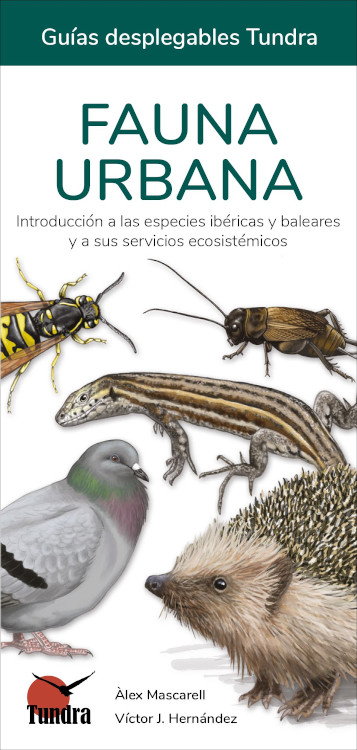 FAUNA URBANA. INTRODUCCIÓN A LAS ESPECIES IBÉRICAS Y BALEARES Y A SUS SERVICIOS ECOSISTÉMICOS. GUÍAS DESPLEGABLES TUNDRA 1