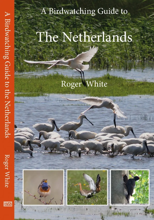 A BIRDWATCHING GUIDE TO THE NETHERLANDS 1