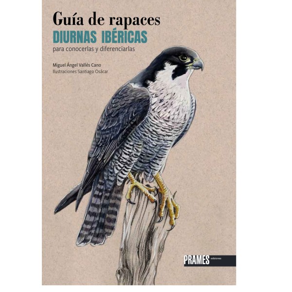 GUÍA DE RAPACES DIURNAS IBÉRICAS PARA CONOCERLAS Y DIFERENCIARLAS 1