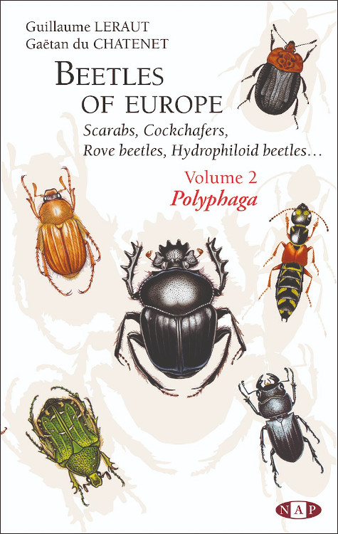 BEETLES OF EUROPE.  SCARABS, COCKCHAFERS, ROVE BEETLES, HYDROPHILOID BEETLES VOLUME 2. POLYPHAGA 1
