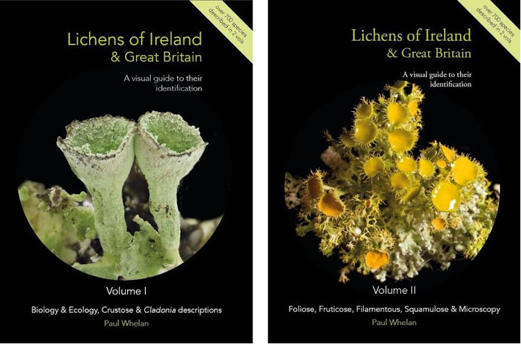 LICHENS OF IRELAND &AMP; GREAT BRITAIN: A VISUAL GUIDE TO THEIR IDENTIFICATION (2 VOLUME SET) 1