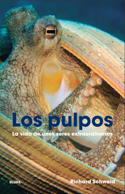 LOS PULPOS. LA VIDA DE UNOS SERES EXTRAORDINARIOS 1