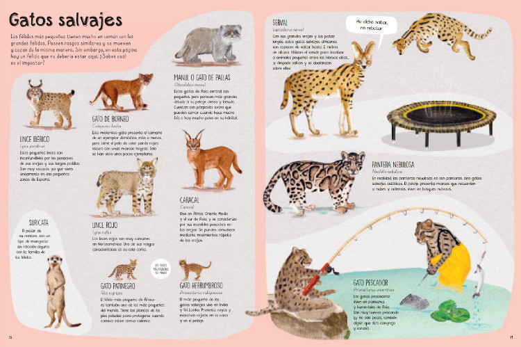 UN LIBRO DE GATOS 3